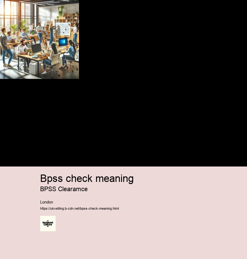 What is a BPSS check online?