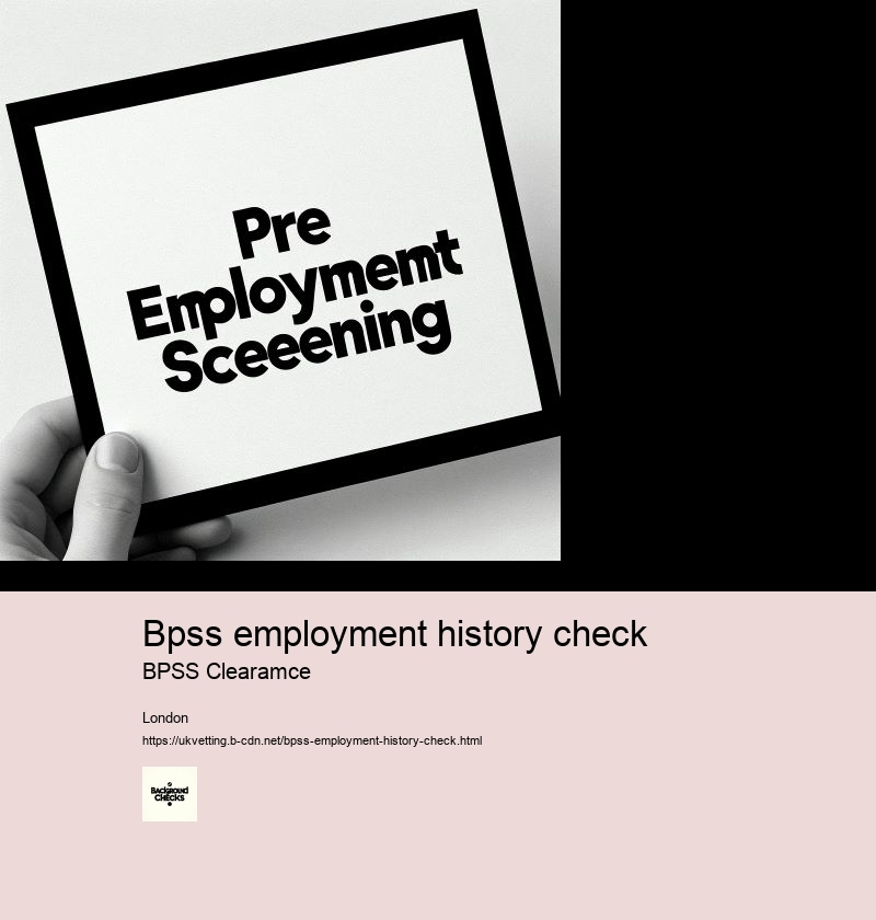 bpss employment history check